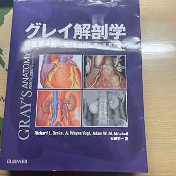 Amazon.co.jp: グレイ解剖学 : Office Products